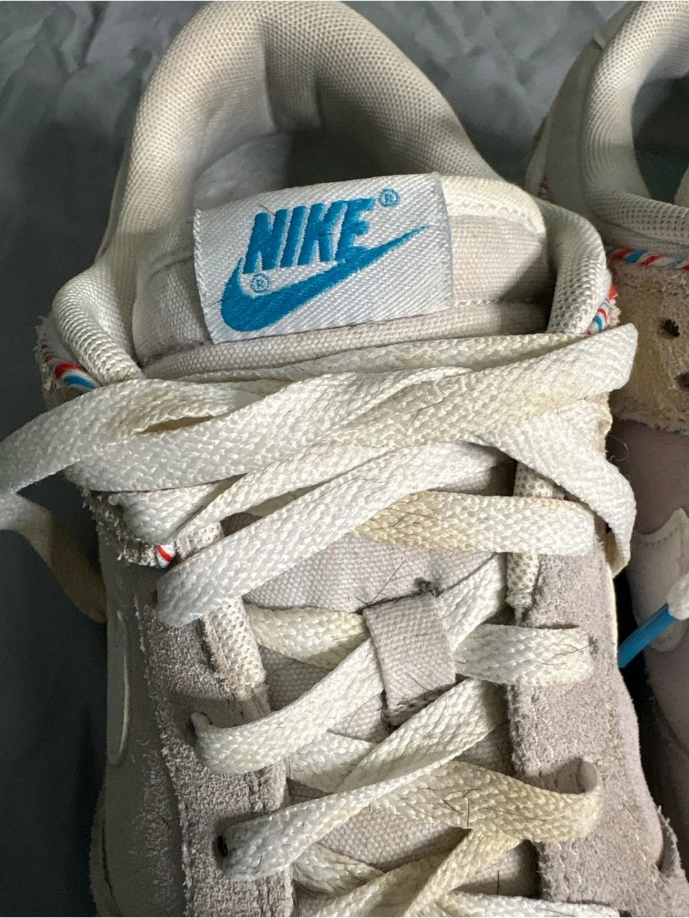 Nike Dunk Low SE 